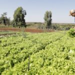 IPP sobe 2,37% em março e reverte queda, informa IBGE