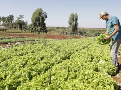 IPP sobe 2,37% em março e reverte queda, informa IBGE