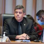 Programa Protetores Mirins previne maus-tratos a animais