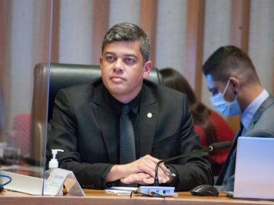 Programa Protetores Mirins previne maus-tratos a animais