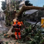 Rede elétrica resiliente exige altos investimentos