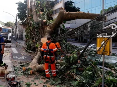 Rede elétrica resiliente exige altos investimentos